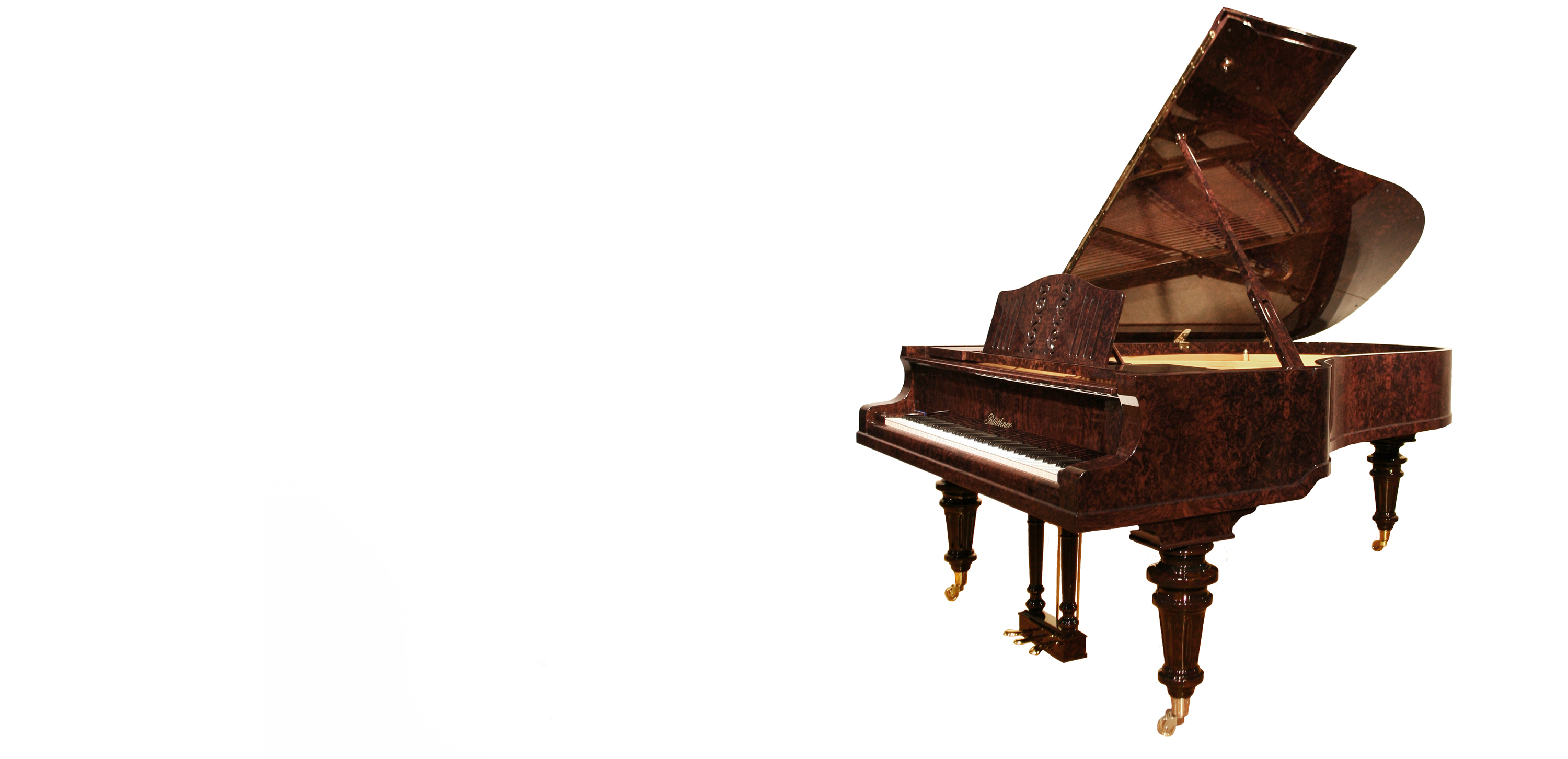 Bluthner Kaiser Wilhelm II - Image 1 - View 1