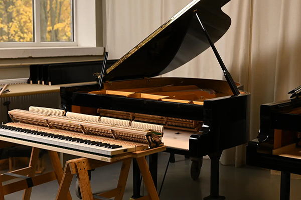 UNLEASHING THE SYMPHONY OF TONAL BEAUTY: THE ART OF VOICING AT ESTONIA