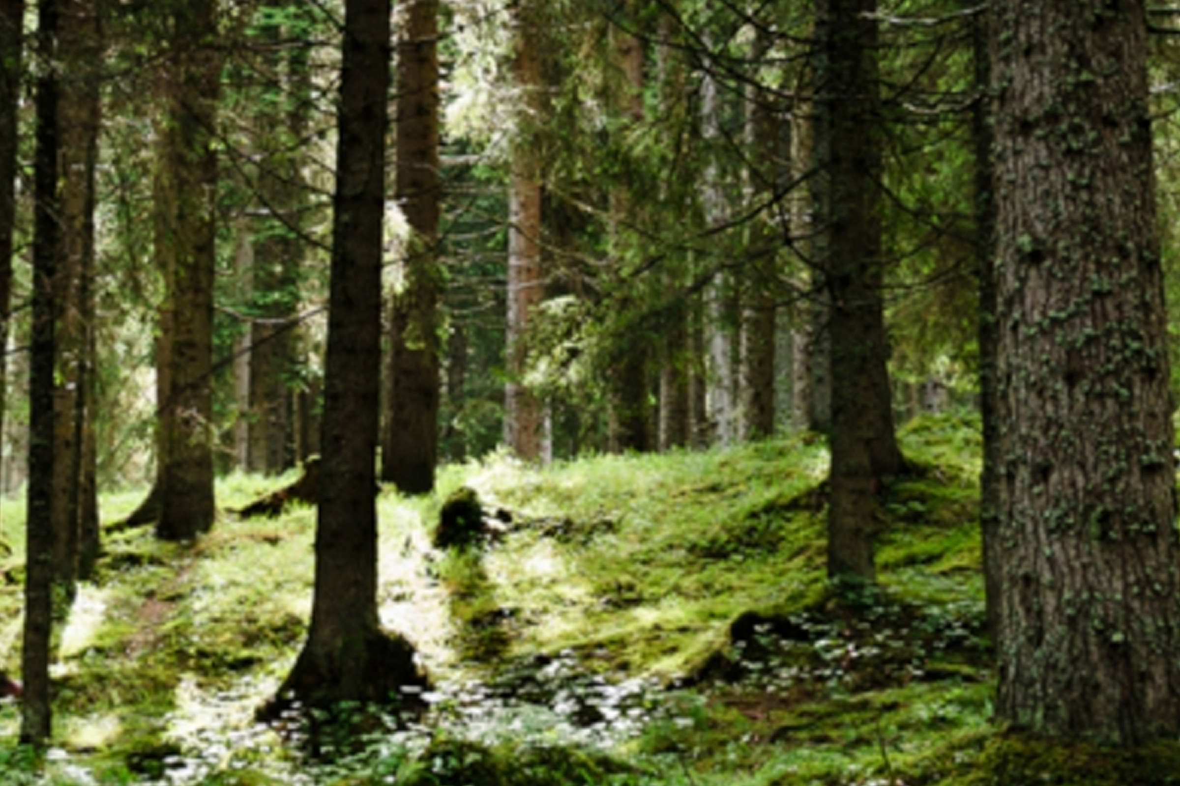 Ethics And Certification